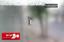 لحظه هدف قرار گرفتن پهپاد اسرائیلی هرون تی‌بی + فیلم