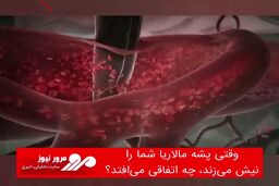 وقتی پشه مالاریا شما را نیش می‌زند، چه اتفاقی می‌افتد؟