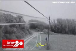 تصاویری باورنکردنی از یخ زدن سیم برق در سرمای روسیه + فیلم