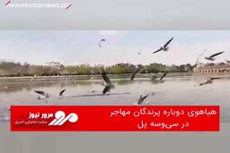 هیاهوی دوباره پرندگان مهاجر در سی‌وسه پل