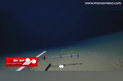 کشف یک ماهی عجیب در عمق ۸۳۳۶ متری اقیانوس آرام + فیلم