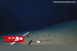 کشف یک ماهی عجیب در عمق ۸۳۳۶ متری اقیانوس آرام + فیلم