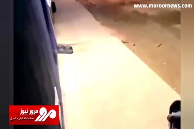 لحظه عجیب سرقت یک کودک از کالسکه در حضور مادرش! + فیلم