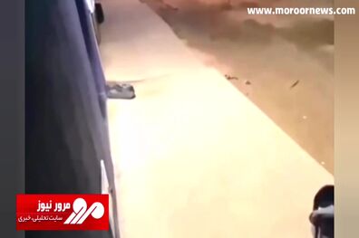 لحظه عجیب سرقت یک کودک از کالسکه در حضور مادرش! + فیلم