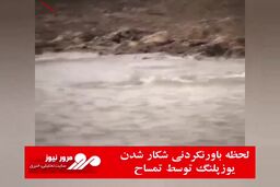 لحظه باورنکردنی شکار شدن یوزپلنگ توسط تمساح