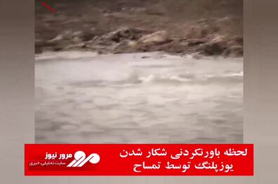 لحظه باورنکردنی شکار شدن یوزپلنگ توسط تمساح