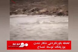 لحظه باورنکردنی شکار شدن یوزپلنگ توسط تمساح