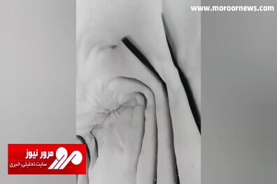قورت دادن دوربین آقای کارگردان توسط کوسه کنجکاو! + فیلم