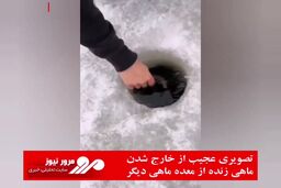 تصویری عجیب از خارج شدن ماهی زنده از معده ماهی دیگر