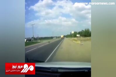 تصادف وحشتناک خودرو هنگام سبقت غیرمجاز + فیلم
