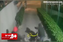 دستگیری سارقان دوچرخه توسط سامورایی برزیلی + فیلم