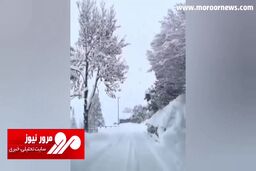 بارش برف سنگین مناطق کوهستانی اروپا + فیلم