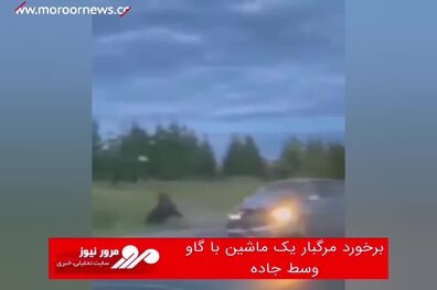 برخورد مرگبار یک ماشین با گاو وسط جاده