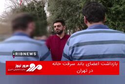 بازداشت اعضای باند سرقت خانه در تهران