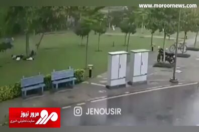 لحظه مرگبار اصابت رعد و برق به مردم زیر درخت! + فیلم