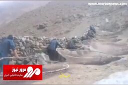 شیوه شکار دسته‌جمعی گنجشک‌ها در افغانستان! + فیلم
