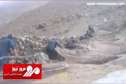 شیوه شکار دسته‌جمعی گنجشک‌ها در افغانستان! + فیلم