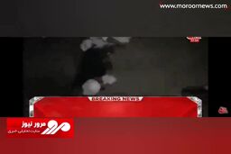 ترور وحشتناک عضو سابق پارلمان هند در پخش زنده تلویزیونی! + فیلم