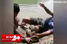 لحظاتی رعب‌آور از پیچیدن سخت مار پیتون به دور پای شکارچی! + فیلم