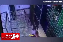 حادثه وحشتناک به خاطر وزن غیر مجاز بار و پاره شدن کابل آسانسور + فیلم