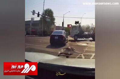 اولین تصاویر از تصادف هولناک در مصر با ۲۸ کشته + فیلم