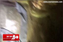 آتش‌سوزی در کارگاه مبل‌سازی با ۴ فوتی + فیلم
