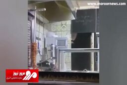 جولان چندش‌آور موش‌ها در یک ساندویچی در مسکو! + فیلم