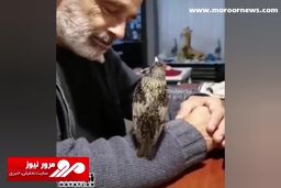 تقلیدصدای شگفت‌انگیز یک پرنده در آغوش یک مرد + فیلم
