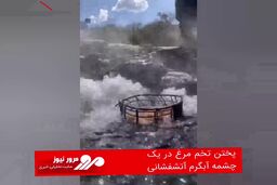 پختن تخم مرغ در یک چشمه آبگرم آتشفشانی