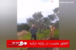 اتفاق عجیب در زلزله ترکیه
