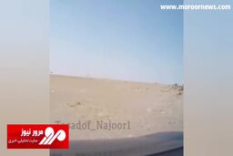 لحظه فرار راننده کامیون پس از تصادف و له کردن خودرو تویوتا پرادو + فیلم