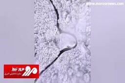 متفاوت‌ترین ویدیو از زیبایی جاده چالوس در زمستان + فیلم