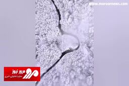 متفاوت‌ترین ویدیو از زیبایی جاده چالوس در زمستان + فیلم