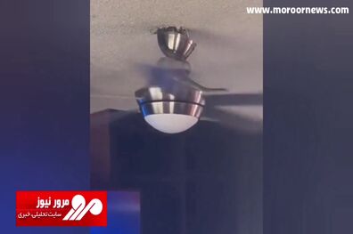 صحنه ای رعب‌آور از خروج مار خطرناک از پنکه سقفی خانه! + فیلم