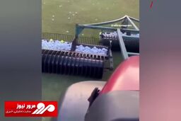 فناوری جالب برای جمع کردن توپ گلف از روی زمین! + فیلم