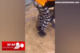 حمله ناگهانی یک میمون به یک زن در باغ وحش + فیلم