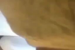 عضو شورای شهر به یک خبرنگار سیلی زد+ فیلم