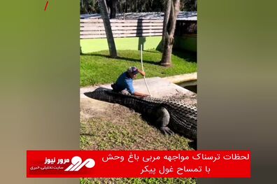 لحظات ترسناک مواجه مربی باغ وحش با تمساح غول پیکر
