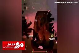 ویدیوی عجیب خانم بازیگر با درخت کریسمس! + فیلم