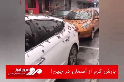 بارش کرم از آسمان در چین!