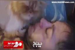 ابراز احساس مازیار لرستانی به گربه‌اش در تخت خواب + فیلم