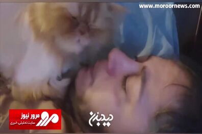 ابراز احساس مازیار لرستانی به گربه‌اش در تخت خواب + فیلم