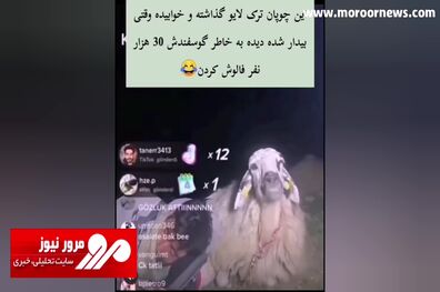 جذب ۳۰ هزار فالوور توسط یک گوسفند در لایو چوپان! + فیلم