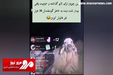 جذب ۳۰ هزار فالوور توسط یک گوسفند در لایو چوپان! + فیلم