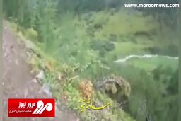 سقوط هولناک دوچرخه سوار از صخره! + فیلم