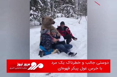 دوستی جالب و خطرناک یک مرد با خرس غول پیکر قهوه‌ای