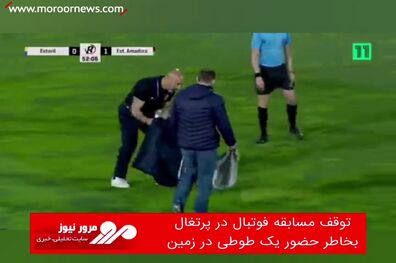 توقف مسابقه فوتبال در پرتغال بخاطر حضور یک طوطی در زمین
