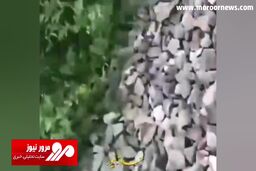 لحظه هولناک برق‌گرفتگی یک مرد روی قطار + فیلم