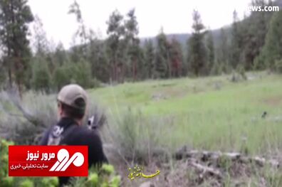 صدای شیر کوهی وحشتناک‌ترین صدای حیات وحش + فیلم
