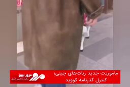 ماموریت جدید ربات‌های چینی؛ کنترل گذرنامه کووید
